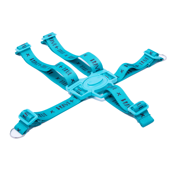 COSATTO CT015295 DRAGONKINGDOM HARNESS scaled